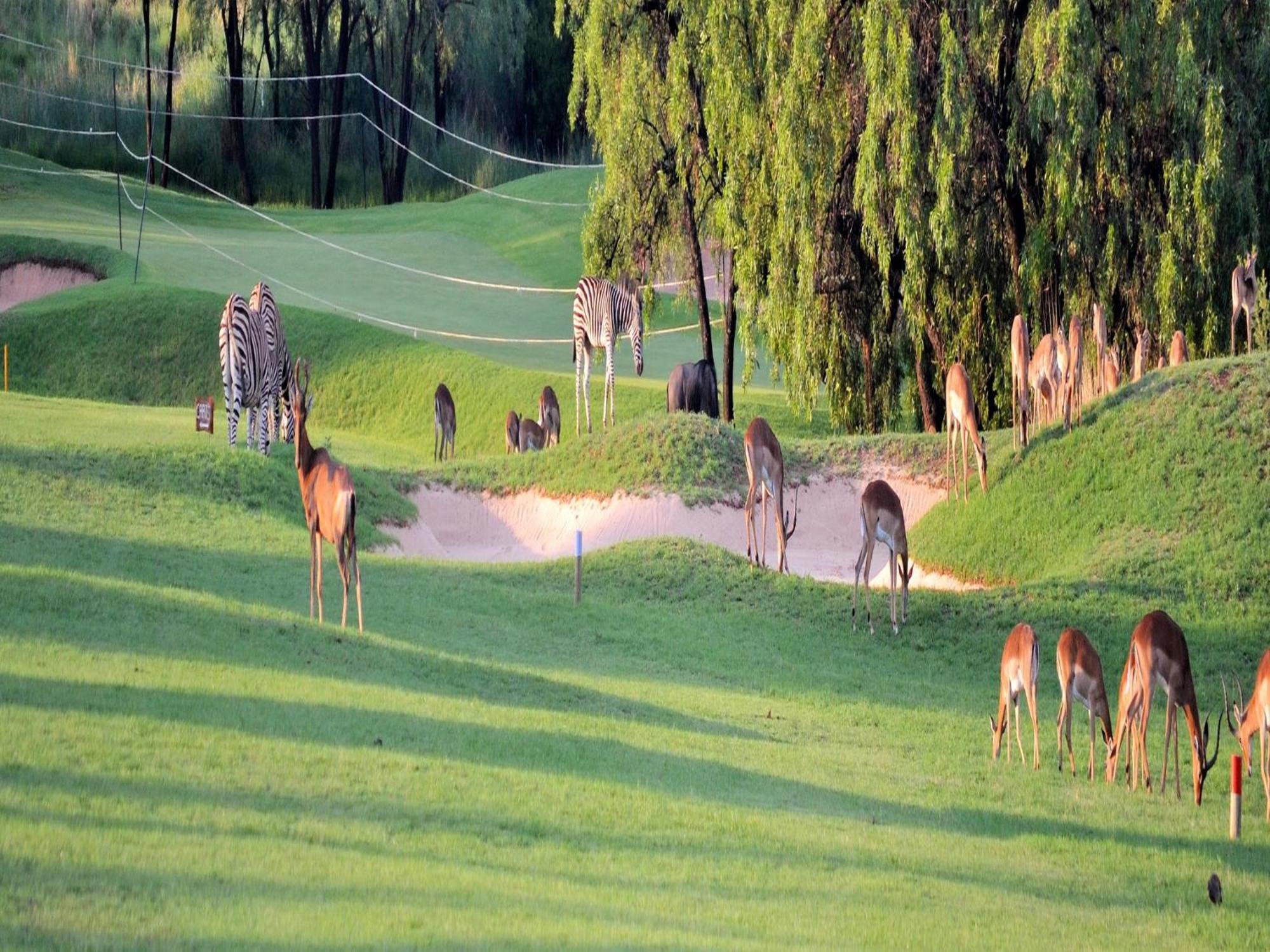Elements Private Golf Reserve 벨라벨라 외부 사진